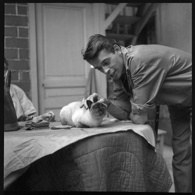 https://imgc.allpostersimages.com/img/posters/jacques-brel-cuddling-his-cat-september-1959_u-L-Q1HOFNT0.jpg?artPerspective=n