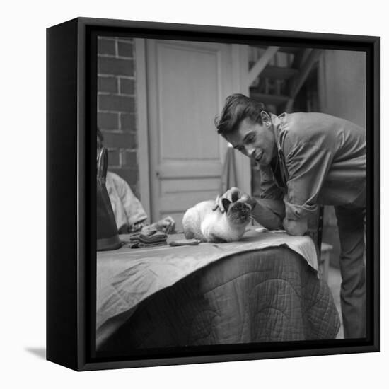 Jacques Brel Cuddling His Cat, September 1959-Marcel Begoin-Framed Stretched Canvas