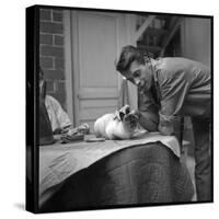 Jacques Brel Cuddling His Cat, September 1959-Marcel Begoin-Stretched Canvas