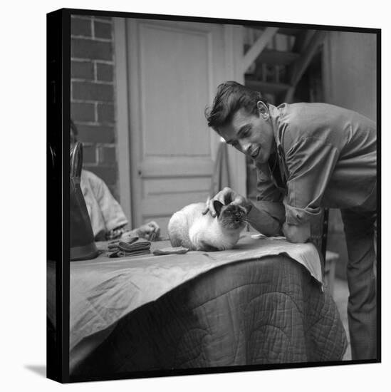 Jacques Brel Cuddling His Cat, September 1959-Marcel Begoin-Stretched Canvas