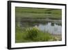 Jacques Cartier's Landing Place on the St Lawrence River in Quebec-null-Framed Giclee Print