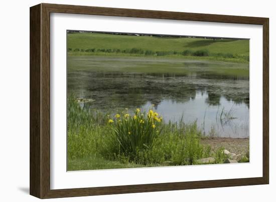 Jacques Cartier's Landing Place on the St Lawrence River in Quebec-null-Framed Giclee Print