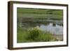 Jacques Cartier's Landing Place on the St Lawrence River in Quebec-null-Framed Giclee Print