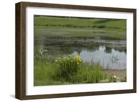 Jacques Cartier's Landing Place on the St Lawrence River in Quebec-null-Framed Giclee Print