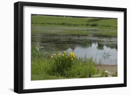 Jacques Cartier's Landing Place on the St Lawrence River in Quebec-null-Framed Giclee Print