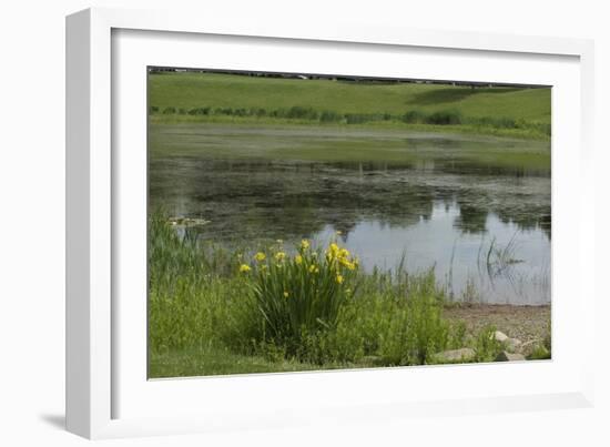 Jacques Cartier's Landing Place on the St Lawrence River in Quebec-null-Framed Giclee Print