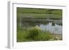 Jacques Cartier's Landing Place on the St Lawrence River in Quebec-null-Framed Giclee Print