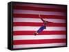 Jacques D'Amboise in New York City Ballet Production of Stars and Stripes-Gjon Mili-Framed Stretched Canvas