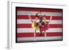 Jacques D'Amboise, Patricia McBride and Suki Schorer in Stars and Stripes-Gjon Mili-Framed Photographic Print