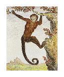 Monkey I-Jacques de Seve-Premium Giclee Print