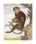 Monkey IV-Jacques de Seve-Premium Giclee Print