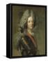 Jacques Fitz-James (1670-1734), First Duke of Berwick-Hyacinthe Rigaud-Framed Stretched Canvas