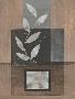 Laminate