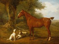 A Gentleman Holding a Saddled Horse in a Street by a Canal-Jacques-Laurent Agasse-Giclee Print