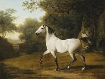 A Chestnut Hunter with a Briard and a Dalmatian-Jacques-Laurent Agasse-Giclee Print