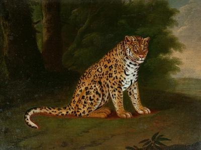 A Leopard in a Landscape