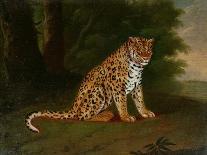 A Chestnut Hunter with a Briard and a Dalmatian-Jacques-Laurent Agasse-Giclee Print