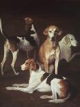 Portrait of Lord Rivers with Two Greyhounds, C.1825-Jacques-Laurent Agasse-Giclee Print