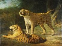 A Lion and a Lioness in a Rocky Valley-Jacques-Laurent Agasse-Giclee Print