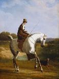 A Grey Arab Stallion in a Wooded Landscape-Jacques-Laurent Agasse-Giclee Print