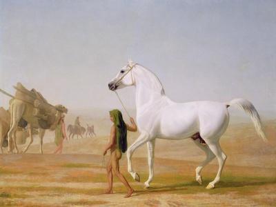 The Wellesley Grey Arabian Led Through the Desert, c.1810
