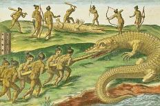 Hunting Crocodiles, from "Brevis Narratio" 1563-Jacques Le Moyne-Giclee Print