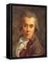 Jacques-Louis David, c.1790-1818-Jacques Louis David-Framed Stretched Canvas