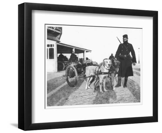 Premium Photographic Print, , large