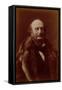 Jacques Offenbach, German Composer, Portrait Photograph-Nadar-Framed Stretched Canvas