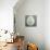 Jade Egg, 2012-Lincoln Seligman-Giclee Print displayed on a wall