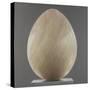 Jade Egg, 2012-Lincoln Seligman-Stretched Canvas