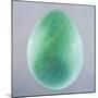 Jade Egg, 2014-Lincoln Seligman-Mounted Giclee Print