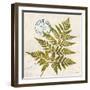 Jade Forest Leaf 1-Morgan Yamada-Framed Art Print