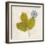 Jade Forest Leaf 2-Morgan Yamada-Framed Art Print