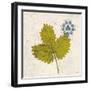 Jade Forest Leaf 2-Morgan Yamada-Framed Art Print