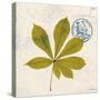 Jade Forest Leaf 3-Morgan Yamada-Stretched Canvas