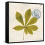 Jade Forest Leaf 3-Morgan Yamada-Framed Stretched Canvas