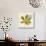 Jade Forest Leaf 3-Morgan Yamada-Stretched Canvas displayed on a wall