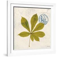 Jade Forest Leaf 3-Morgan Yamada-Framed Art Print