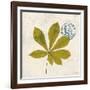 Jade Forest Leaf 3-Morgan Yamada-Framed Art Print