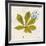 Jade Forest Leaf 3-Morgan Yamada-Framed Art Print