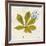 Jade Forest Leaf 3-Morgan Yamada-Framed Art Print