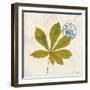 Jade Forest Leaf 3-Morgan Yamada-Framed Art Print