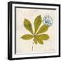 Jade Forest Leaf 3-Morgan Yamada-Framed Art Print