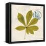 Jade Forest Leaf 3-Morgan Yamada-Framed Stretched Canvas