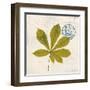 Jade Forest Leaf 3-Morgan Yamada-Framed Art Print