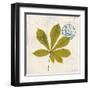 Jade Forest Leaf 3-Morgan Yamada-Framed Art Print