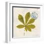 Jade Forest Leaf 3-Morgan Yamada-Framed Art Print