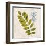 Jade Forest Leaf 4-Morgan Yamada-Framed Art Print