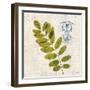 Jade Forest Leaf 4-Morgan Yamada-Framed Art Print